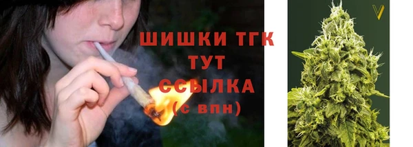 гидра Пестово